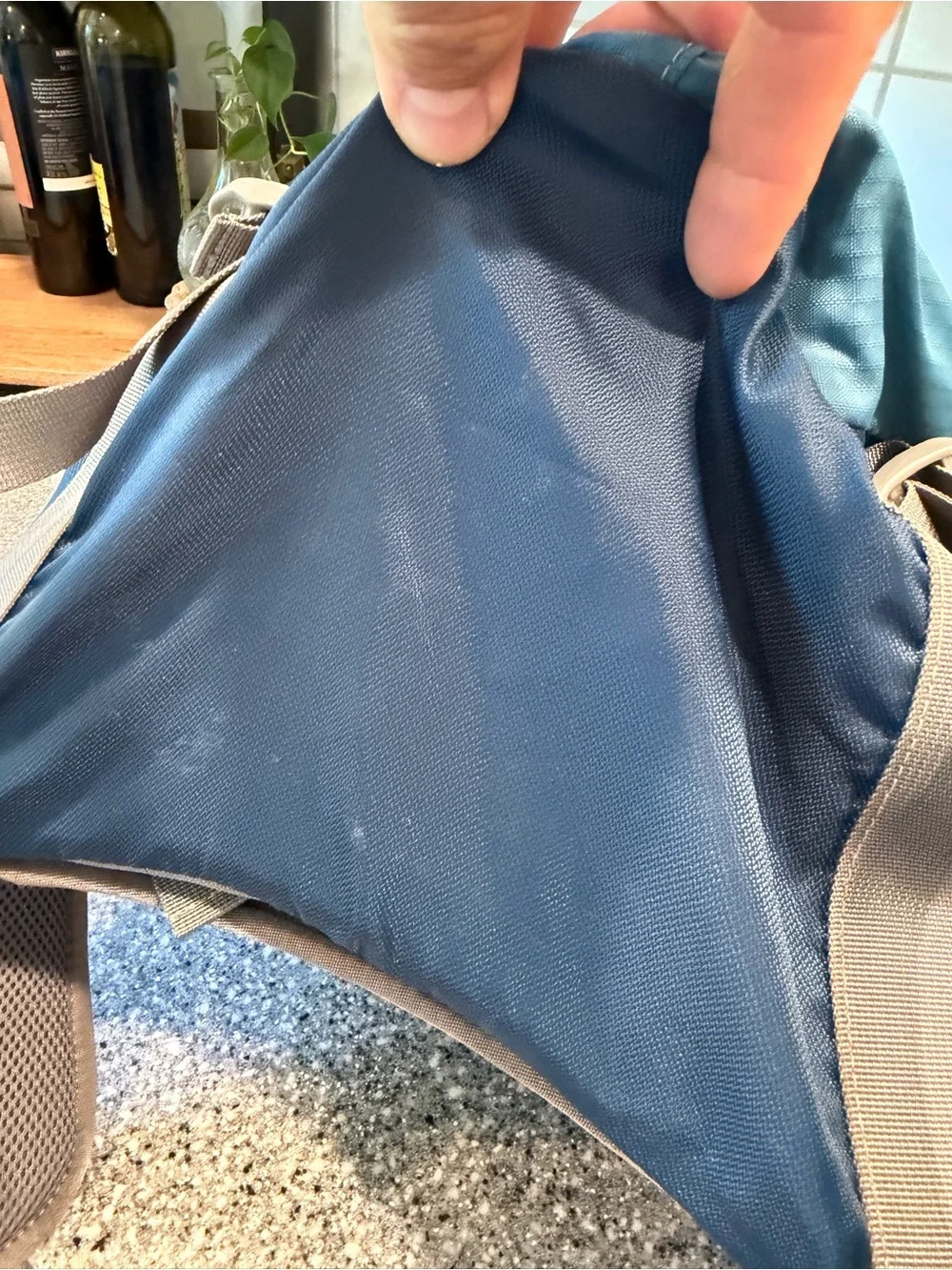 Gregory Teal and Navy Travel Backpack Z35